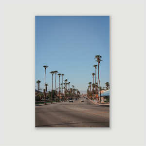 Palm Canyon Drive