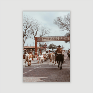 The Stockyards